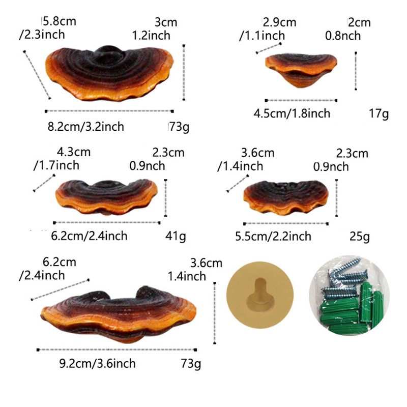 Mini Reishi Mushroom Wall Shelves, Premium Simulation Mushroom Shelf Decoration
