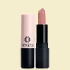 Anjumain Dodori Performance Creamy Lipstick DO0306 Sheung Girl × 4g × 1 / 도도리 퍼포먼스 크리미 립스틱 DO0306쉭걸 × 4g × 1개