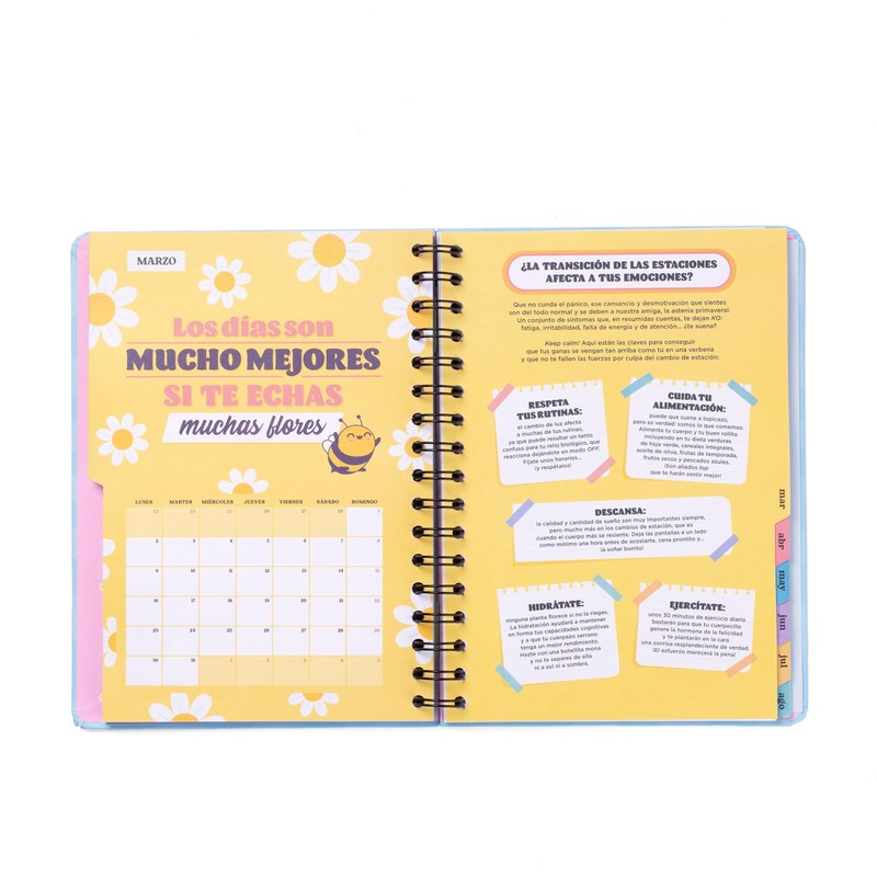 Mr.Wonderful Wonder Academic Diary 2025-26 Week to View with Organization