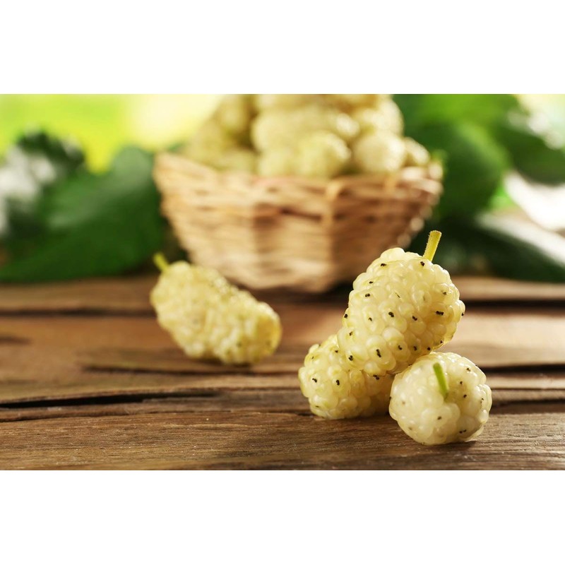 Organic Dried White Mulberries, 2 Pounds - Non-GMO, Unsulfured, Bulk