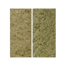 Art Water Moss Moss Green Water Moss Like Thread Flower Pot Vase Orchid Flawless Run Born With Orchid Platinum Spoon 長生 Orchid Gardening