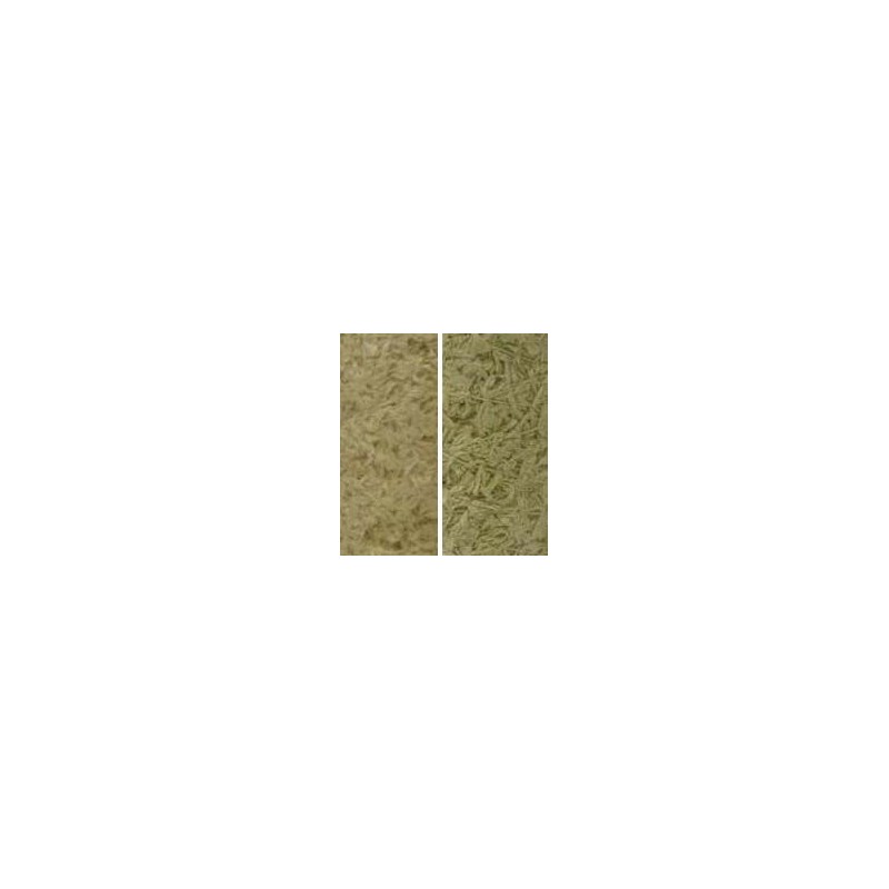 Art Water Moss Moss Green Water Moss Like Thread Flower