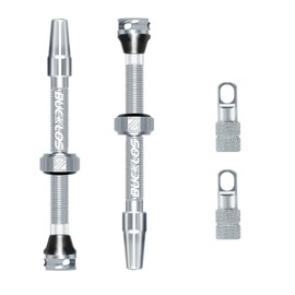 BUCKLOS Tubeless Presta Valve Stem 40/44/55/60/65/80/100 mm, Bike Tire Valve Stems Kit with Core Removal Tool for MTB/Mountain Bike/Road Bike,Bicycle Super Light Durable Aluminum Stem Silver