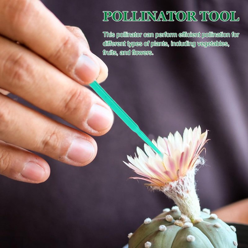 INOOMP 100pcs Plant Pollinator Pen Pollinator Tool Vegetable Pollinator Gardening