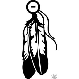feathers  / vinyl sticker / western decal