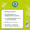 Lebensbaum Bio Kräutertraum, 20 Sachets x 1.5 g Herbal Tea