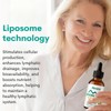 Liposomal Lymphatic Drainage Drops – Immune & Lymph Support, Detox