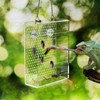 Swirge Chameleon Feeder Box with Suction Cups, Acrylic Feeding Bowl
