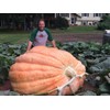 Ron Wallace's Whoppers Giant Pumpkin Seeds (5 Seeds per Package)