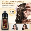 KAISASA shampoo cubre canas,shampoo tinte,Coloración Semipermanente para Cabello en Champú