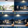 Motion Sensor Light Bulbs - 9W (60W Equivalent) E26 Motion
