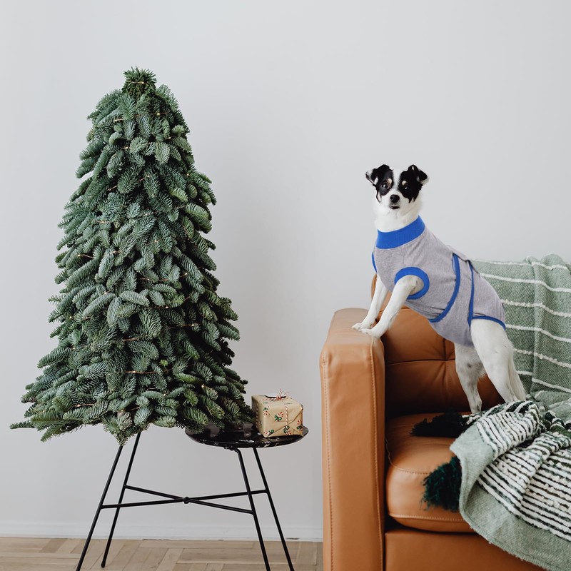 Kuoser Dog Surgery Recovery Suit, Dog Recovery Suit Female Male,