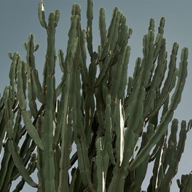 HUXLEY Conditioning Essence Reframe  60ml