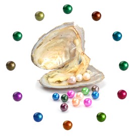 50PCS Freshwater Round Pearls in Oysters, Oysters with Pearl Inside Love Wish Pearl Oysters with Pearl Bulk for Jewelry Making or Birthday Gifts (7-8mm)