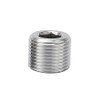 Avanty Stainless Steel 304 Forged Pipe Fitting, Socket Hex Head