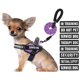Service Dog Vest Harness and Leash Set, Animire in Training Dog Harness with 10 Dog Patches, Reflective Dog Leash with Soft Padded Handle for Small, Medium, Large, and Extra-Large Dogs (Purple, S)