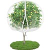 10' x 12' Large Fruit Tree Netting for Squirrels and