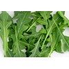 RAISE ME UP: Seeds Astro Arugula for Salad Non GMO