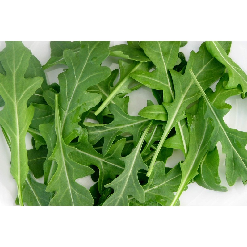 RAISE ME UP: Seeds Astro Arugula for Salad Non GMO