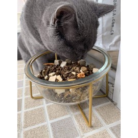 LORVOR Rasied Glass Bowl Cat&Dog Food Water Basic Bowl with Elevated Stand Protect Neck Joints Pet Feeding Bowls Easy to Clean Healthy Eating