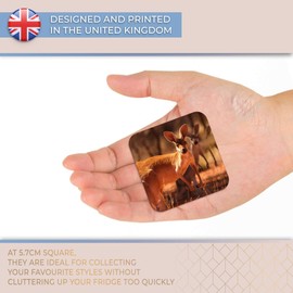 Destination Vinyl ltd Fridge Magnet - Kangaroo Australia Wild Animal Cute 8528