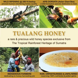 Tualang Red Honey 10oz (TA 10+, Pollen Count 3.2M+, Pollen Variety 100+) Moderate Choice for Health Maintenance, Wild-ripening on 250ft Treetop, Raw, Unpasteurised, Unfiltered