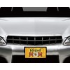 Blessed Mom Daisy Aluminum Front License Plate