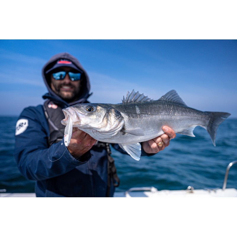 Berkley PowerBait® Power® Sardine; Weed-free Soft Plastic Bait for Saltwater