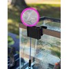 Ztzfacai 1 Pack Hanging Aquarium Plant Holder – 3 Holes