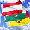 FLAGLY Premium Vienna Flag 100 x 150 cm - 115
