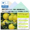 Cluster Backed Antibacterial Type Kids Half Handkerchief Set of 5
