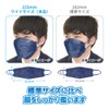 Biho Mask Made in Japan 4 Layer Construction, Double Uses