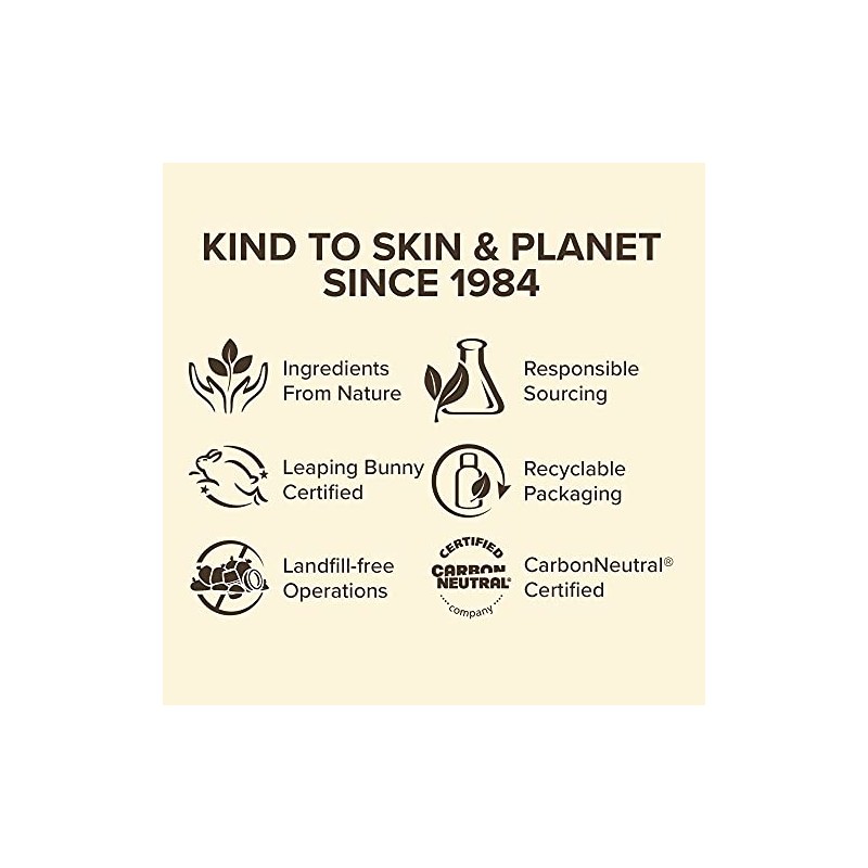 Burt’s Bees® Beeswax & Vanilla Bean Lip Balm 2 pack,