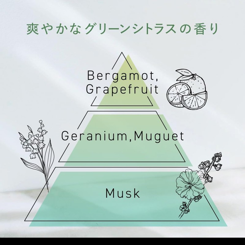 Success 24 Fresh Feel Shampoo Refill (Green Citrus Scent) 11.8