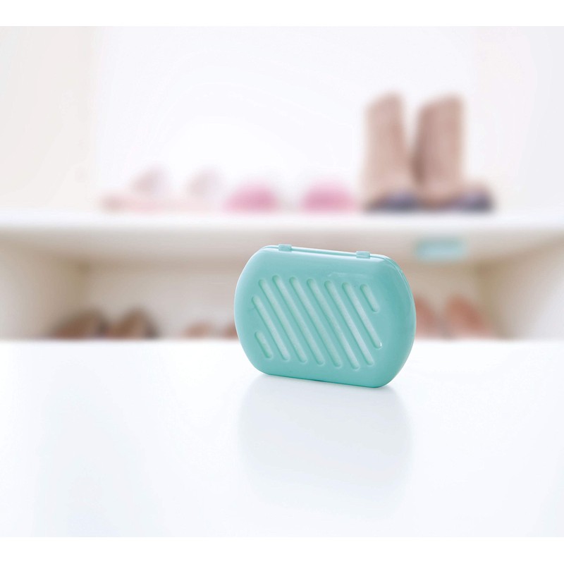 Cogit Power Bio Mold and Mold Clean Geta Box, Mold