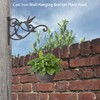 2PCS Plant Hangers Outdoor Plant Hooks for Wall/Fence, Hummingbird Hanging