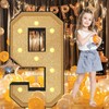 Ruxion 4FT Marquee Light Up Numbers 9 - Large Glitter