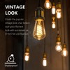 Tiadio 4-Pack Vintage LED Edison Bulbs 60W Equivalent- ST58/ST19 6W