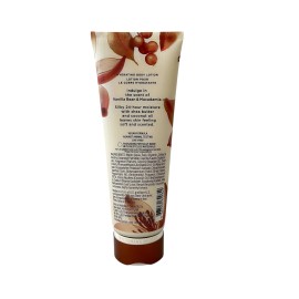 Victoria's Secret Vanilla Bean & Macadamia Lotion 8 fl oz