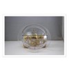 Mitty Dairy 8 Gallon Bucket Lid/Gasket Clear for Milking Machine