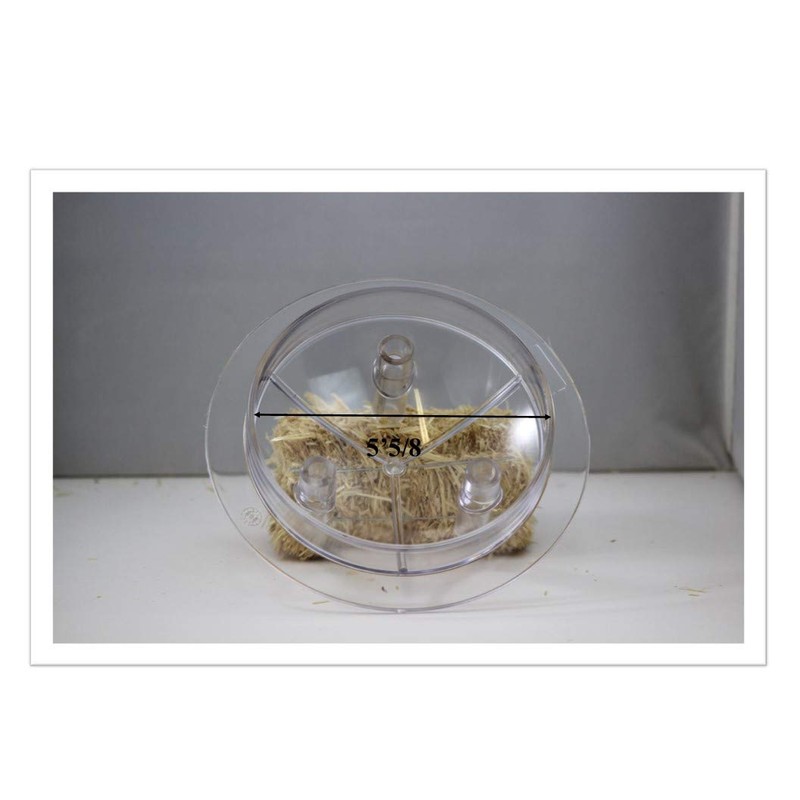 Mitty Dairy 8 Gallon Bucket Lid/Gasket Clear for Milking Machine