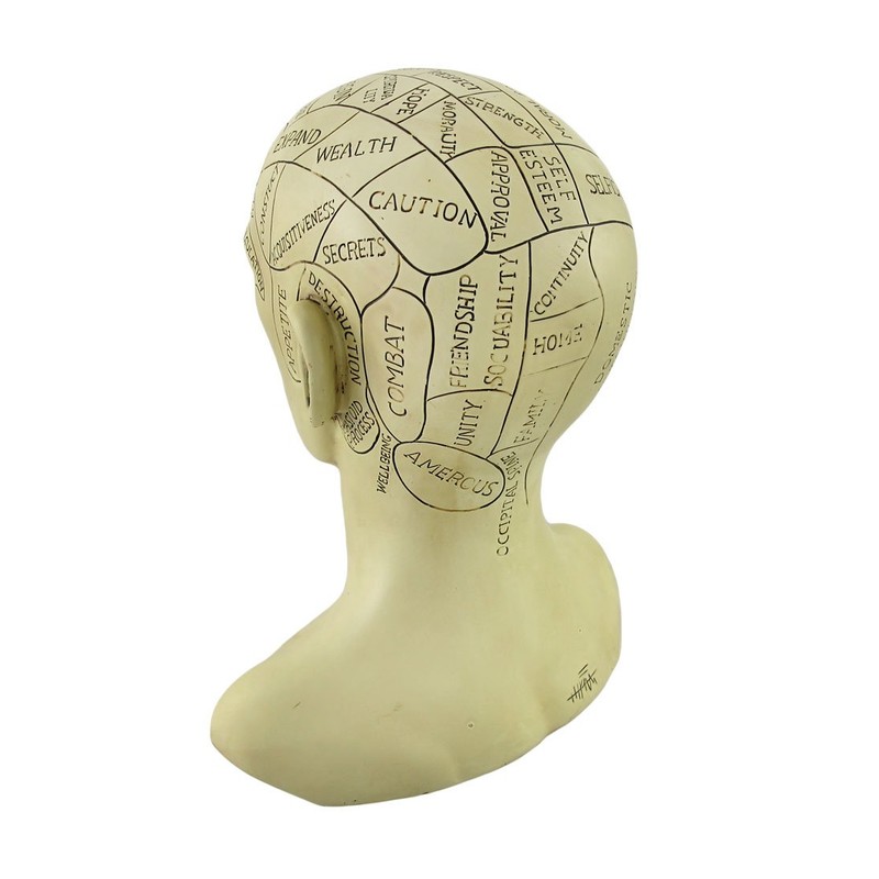 Things2Die4 Creepy Cast Resin Phrenology Head Victorian Steampunk