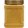 Rani Chicken Curry Masala Indian 13-Spice Blend 17.5oz (1.1lbs) 500g