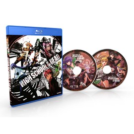 HIGH SCHOOL OF THE DEAD: COMPLETE COLLECTION/BD