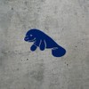 Transparent Decal Stickers Of Cute Manatee (Navy Blue) Premium Waterproof