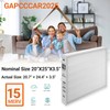 2-Pack GAPCCCAR2025 Replacement Furnace Filter, Compatible with Bryant GAPBBCAR2025 &