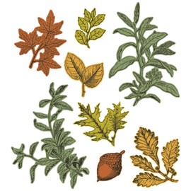 Sizzix 49 and Market Forever Leaves Clear Stamps with Framelits Die