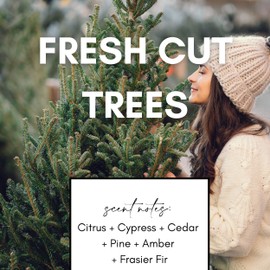 Bluebyrd Soap Co. Fraiser Fir & Pine Scented Candle Jar 9oz. | Amber Glass Holiday Candle Made with Natural Coconut Wax & Non-Toxic Fragrance (Fresh Cut Trees, 9oz)