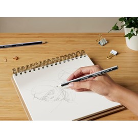 STAEDTLER Noris jumbo 119 thick learning pencil triangular shape, ideal for first writing exercises, very good quality, 2B hardness, 2 pencils in pastel colours, assorted colours, 119 BK2 PA