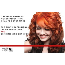 Watercolors Color Depositing Sulfate-Free Shampoo, Maintains & Enhances Hair color Water Colors Hair Dye Maintenance Wash (Clear - Color Extending) - 8.5 oz